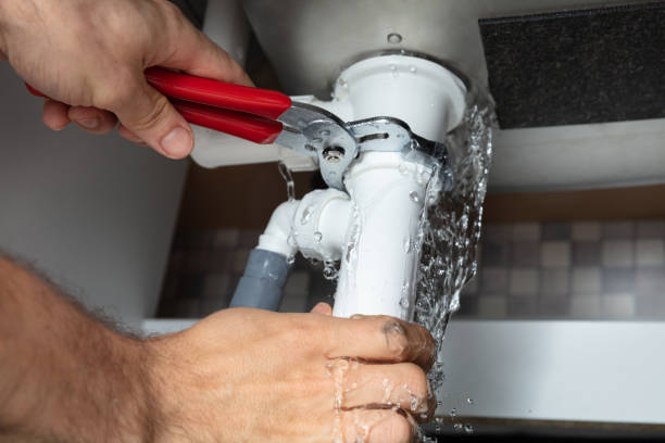 Best Flood restoration services  in Skidaway Island, GA