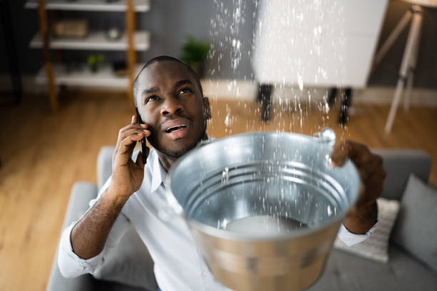 Best Professional water damage repair  in Skidaway Island, GA