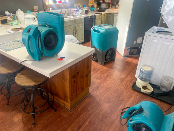 Best Water damage restoration cost  in Skidaway Island, GA