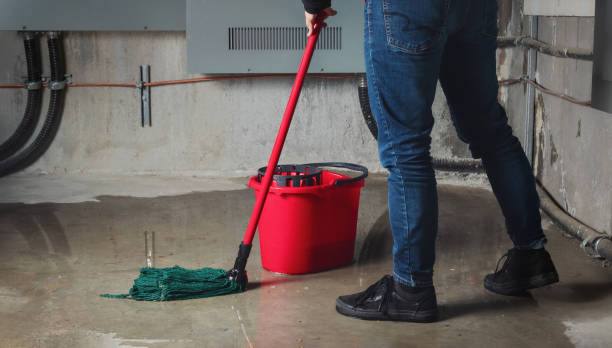Best Water damage contractors near me  in Skidaway Island, GA