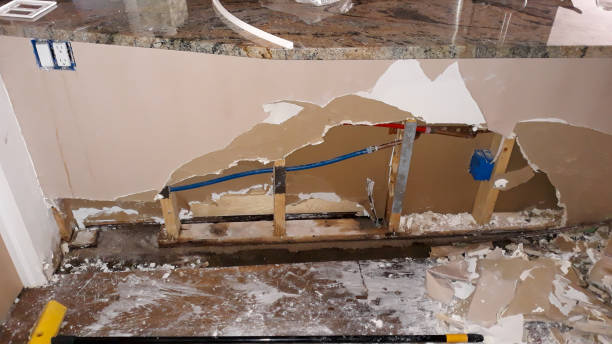Best Mold removal after water damage  in Skidaway Island, GA