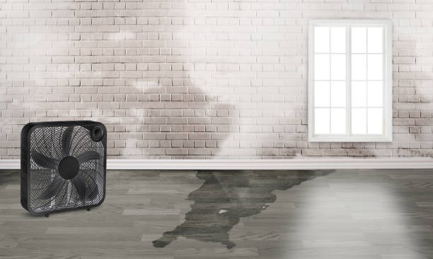 Best 24/7 water damage repair  in Skidaway Island, GA