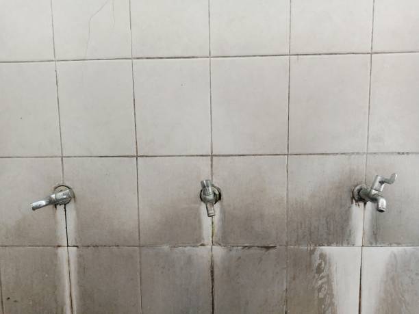 Best Water damage restoration mold remediation  in Skidaway Island, GA