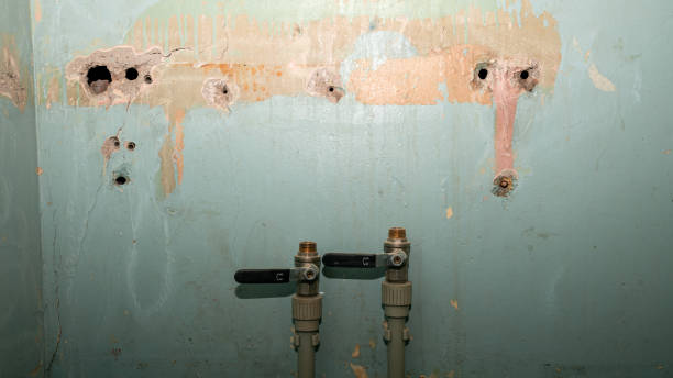 Best Water damage restoration process  in Skidaway Island, GA