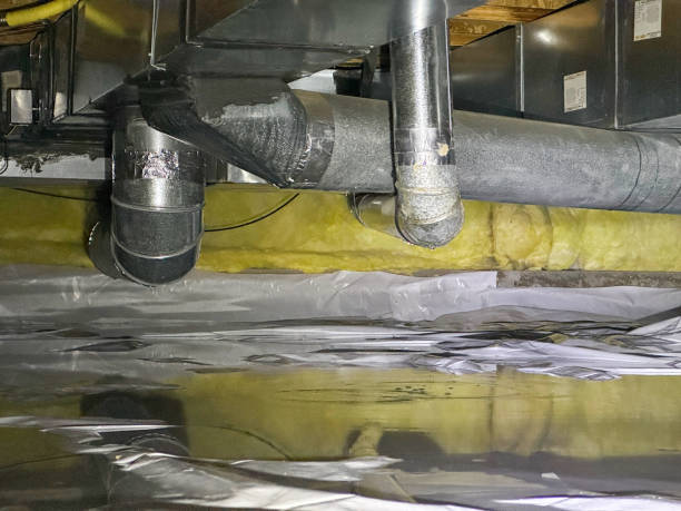 Best Water damage restoration services  in Skidaway Island, GA