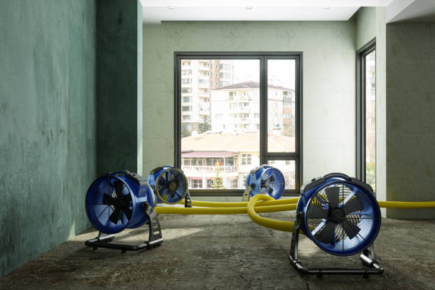 Best Water damage restoration near me  in Skidaway Island, GA