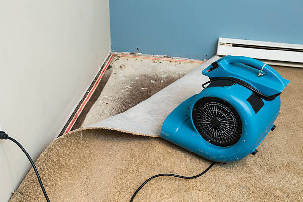Professional Water damage restoration in Skidaway Island, GA